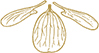 flower-logo